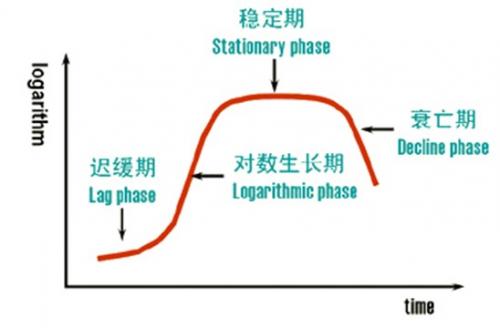 酵母菌的生长曲线.jpg