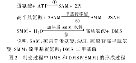 未发芽大麦-制麦过程中DMS和DMSP的形成过程.png